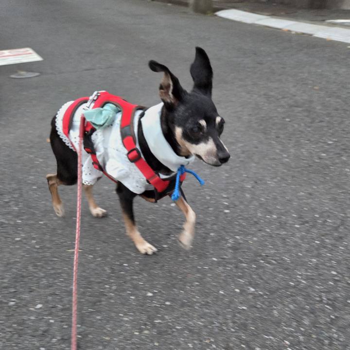 0fe50ee4 5356 4e47 98bc ee792b705482 1755376363445