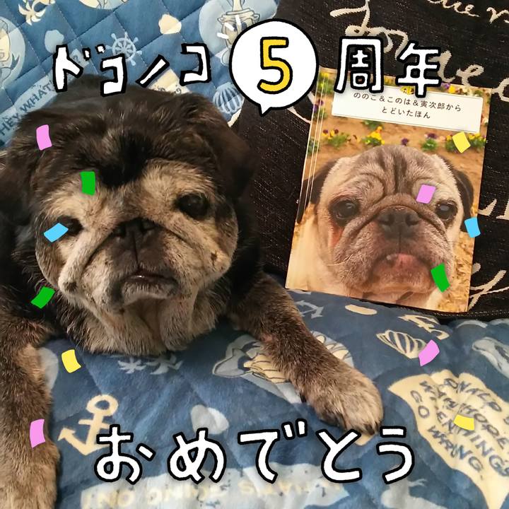 0fe510a2 d6c6 4f90 9d0f bc6bf42024ba 1622905076258