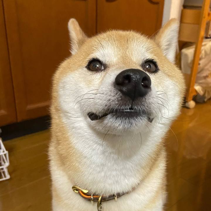 0fe533c4 1d28 48db b259 0a7f6de93dbb 1604309250347