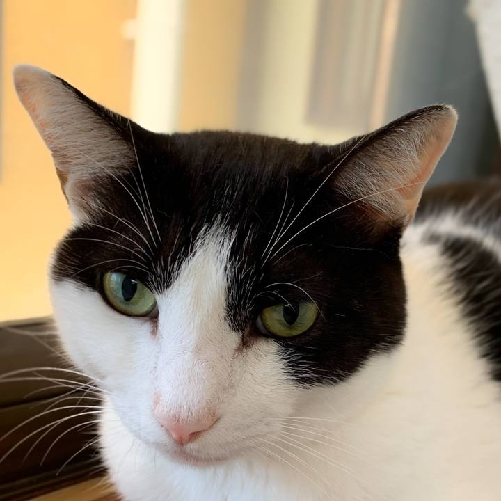 0fe553c2 85bc 4d35 aa40 cbfbbf8536ee 1571449249748