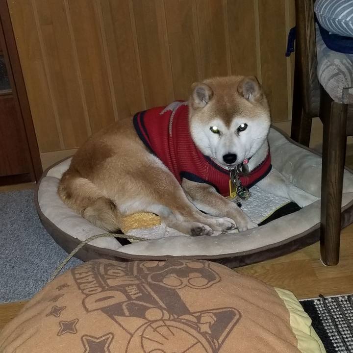 0fe565ed 40f2 4437 af1b be38e452e04d 1609573897496