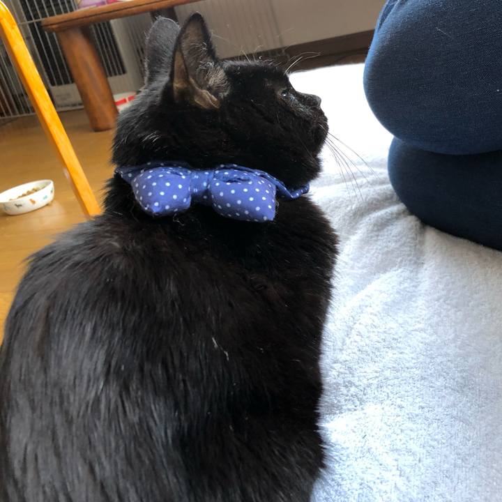 0fe5872d 8289 4e84 b8b9 f921f9d34494 1553679871345