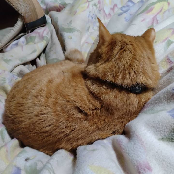 0fe58e2f 6fe3 45b4 8516 d2c32dab54b9 1676808359782