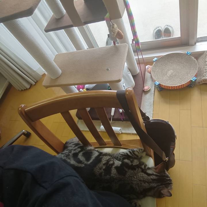 0fe595ce 5030 4af7 851e 30dc6bfc83c3 1557198495246