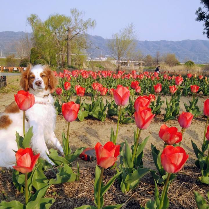 0fe5d845 7bc6 4ae7 afaa 69fa7c0b763c 1554541898940