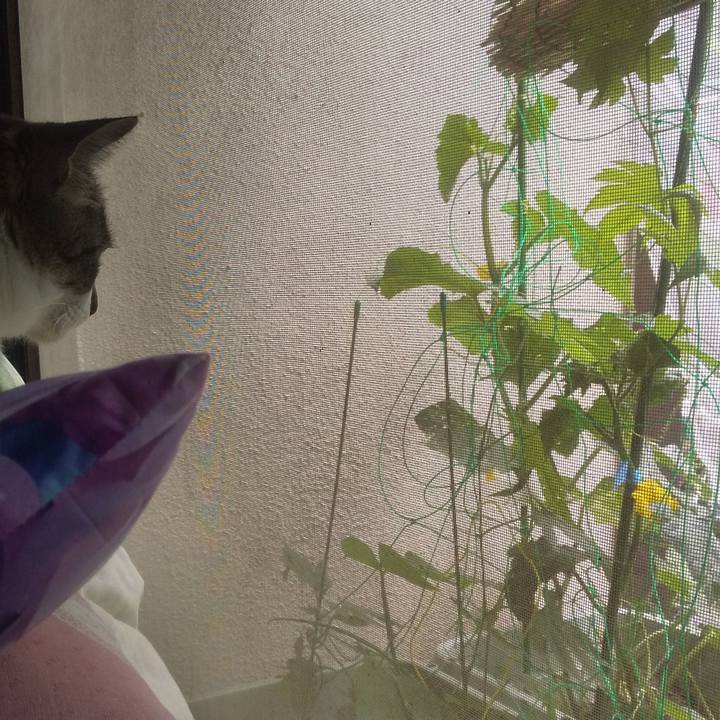 0fe5f26b 1e99 4737 9934 7b6dbe15c8ba 1716175691726