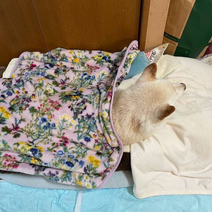 0fe5fd7b 7286 484d a1d1 48f01bdce57e 1634859911132