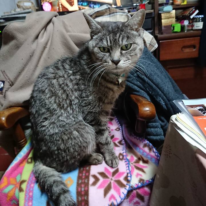 0fe64129 bd99 4efc a3e7 20c01d36e013 1606855516031