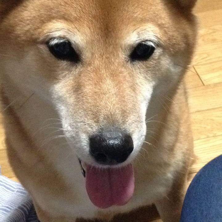 0fe668d1 9922 4d94 8f56 87f87d183b3c 1535706147809