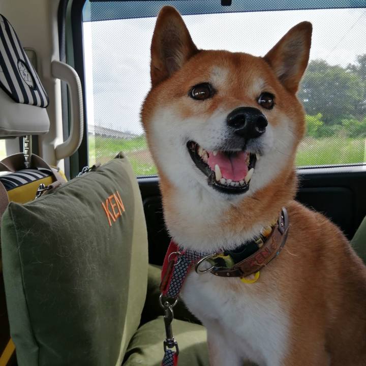 0fe6a6b4 3ca5 45a6 a748 762c1bc3120b 1622709374968