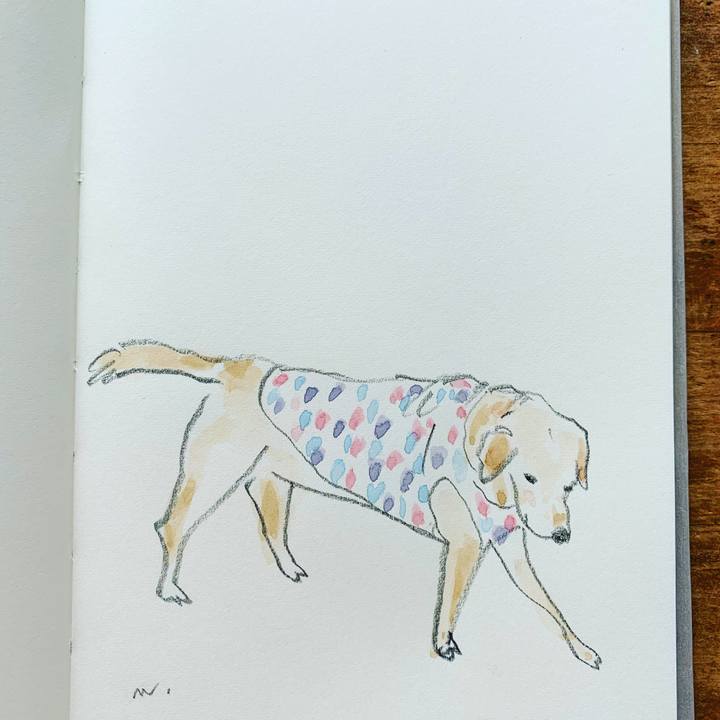 0fe6c6b0 c2e8 4ab6 8a4b 089d4ef4d27b 1600997180165