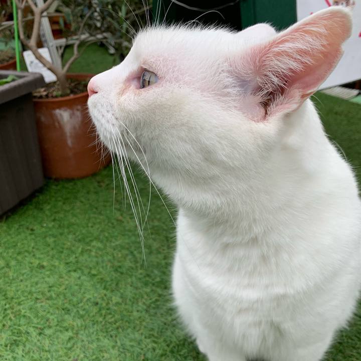 0fe7129a 0ddc 4c5b 892d 32d99a2d3987 1567153611420