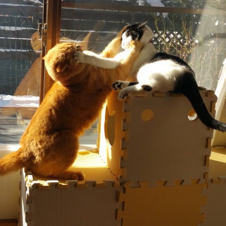 0fe73619 607c 4c21 bbfc 4d0e58109cd6 1627429604949