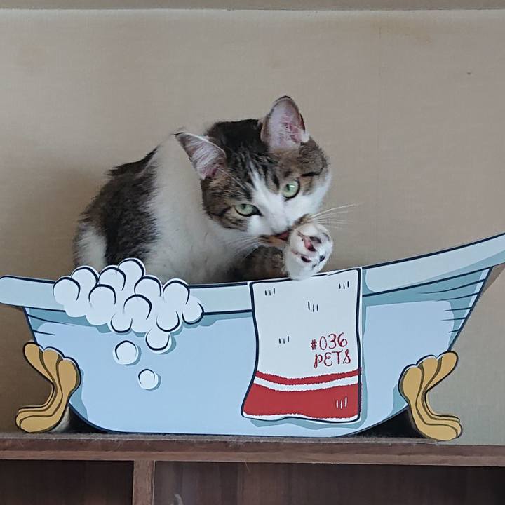 0fe744b6 b8ec 40ff 8d9e f170db3247ed 1624251507310