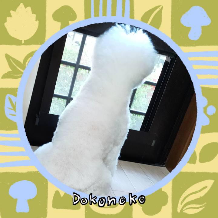 0fe77b81 dfd0 4617 aa6a cac386a14932 1761216197443