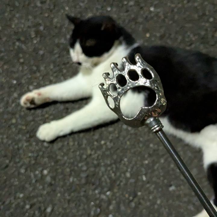 0fe784ab f301 40c0 abf1 aa4a6f03aef6 1755275372028