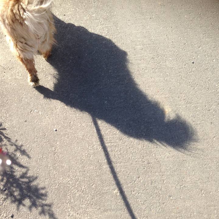 0fe7919f 42d2 4070 b04a 57bebc8e7345 1609799022475