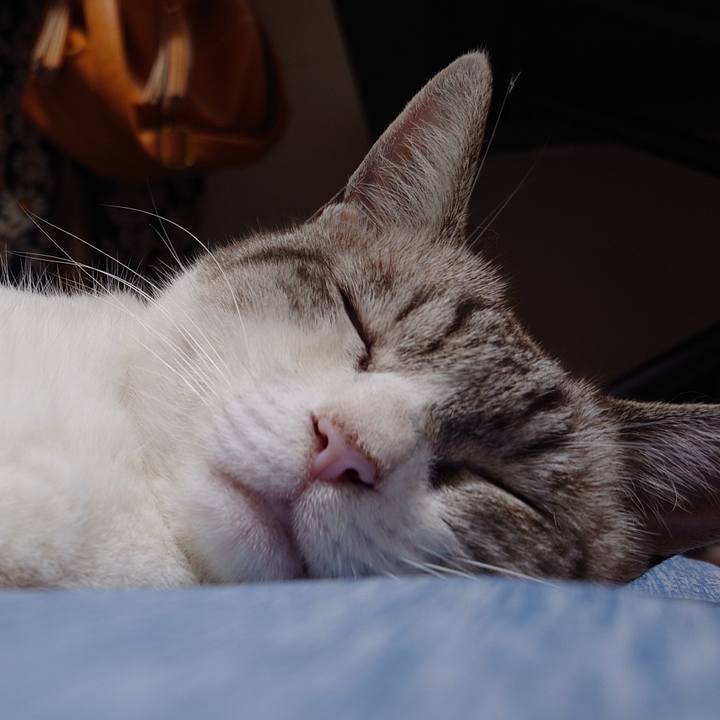 0fe7aafb 98af 4d4b b3e4 6c0056ded2a3 1721916275284