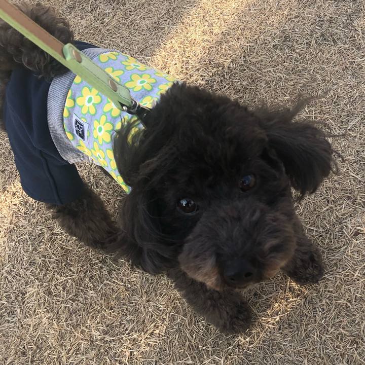 0fe7ab8f dd90 4cf4 a61f 3f20b3d41e75 1611991142109