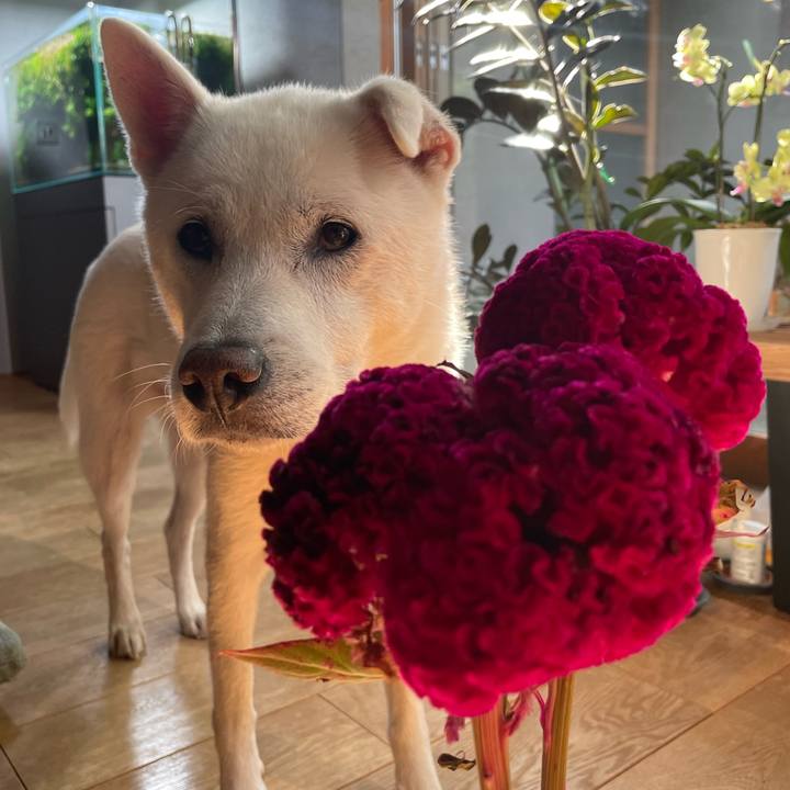 0fe7e180 1449 49c9 b078 3eee58d40e07 1759289666452