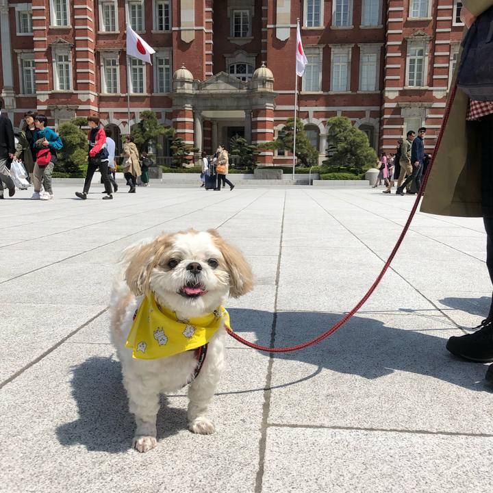 0fe82d39 2294 4798 9139 ea5a1d3e1050 1565588959295