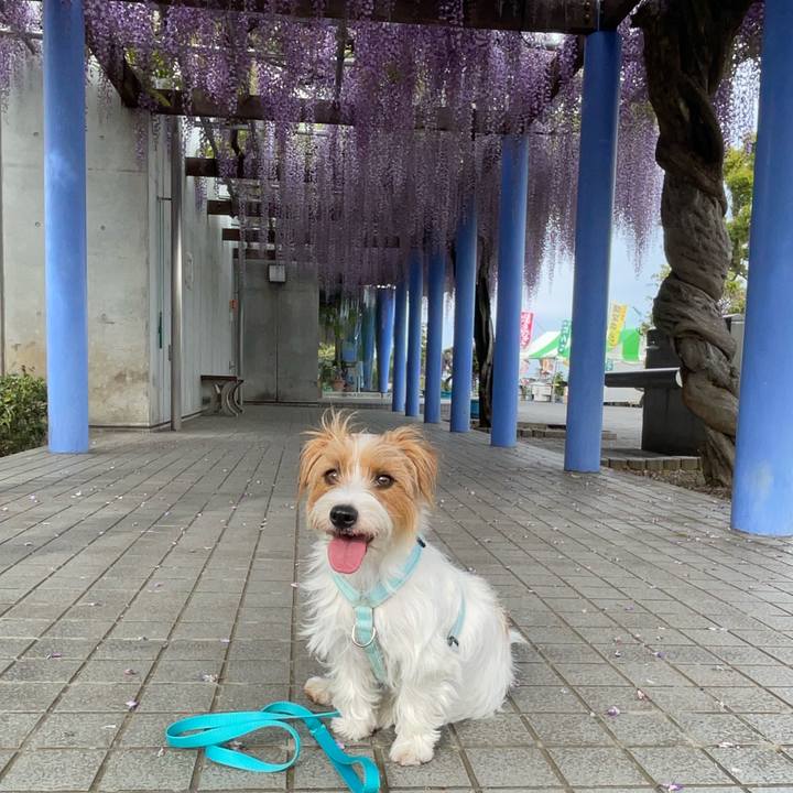 0fe851e6 e71c 468b ac44 5926551c16ab 1777070976812