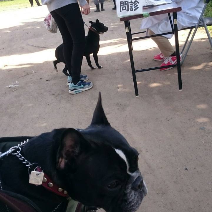 0fe8648e cb97 44ad af60 a5db6688e1aa 1523251257990