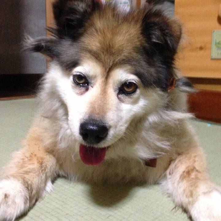 0fe88207 6c72 4f78 9b9c 94958e47b70b 1604182315231