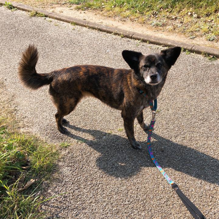 0fe88e37 9077 4685 8fc1 d6623f3af3b8 1586479301527