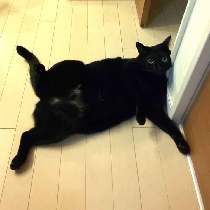 0fe8a49f 408e 4e71 a8df 3be1579e565f 1656947227058