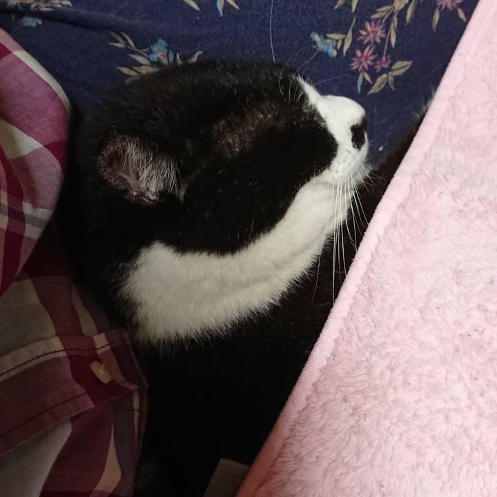 0fe8acc5 bfe8 48b6 82ce 0464db4067ab 1634119663659