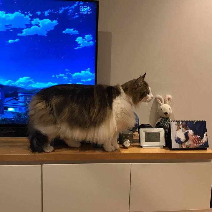 0fe955fc 1ef8 4d48 a48d 2ed85fc73942 1666965039885