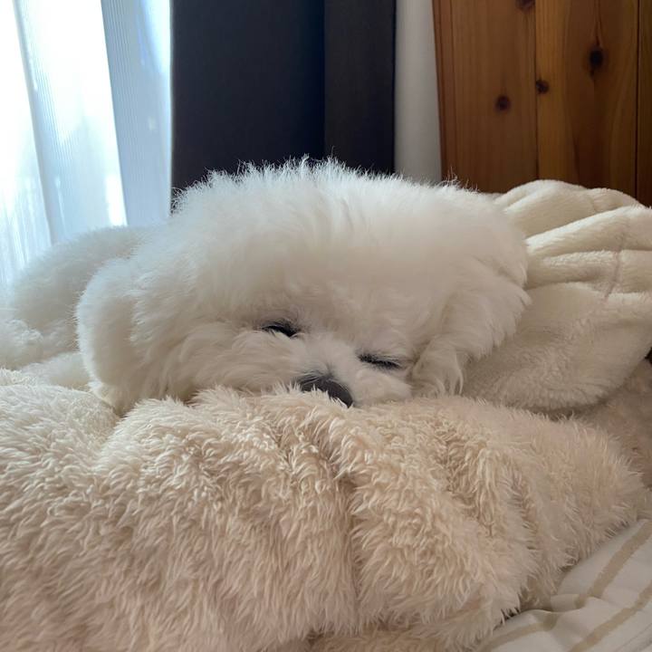 0fe99e84 4c98 4109 9a9f e96574b208bf 1645161342412