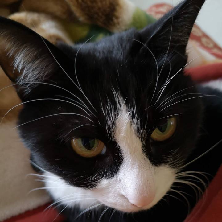 0fe9b22b ecab 4b71 9040 77699678e94c 1647923323939