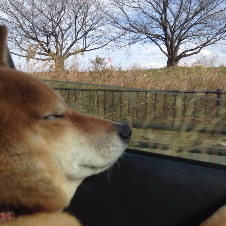 0fe9b4bf 72b3 433a ba52 babedf67a72a 1511782387103