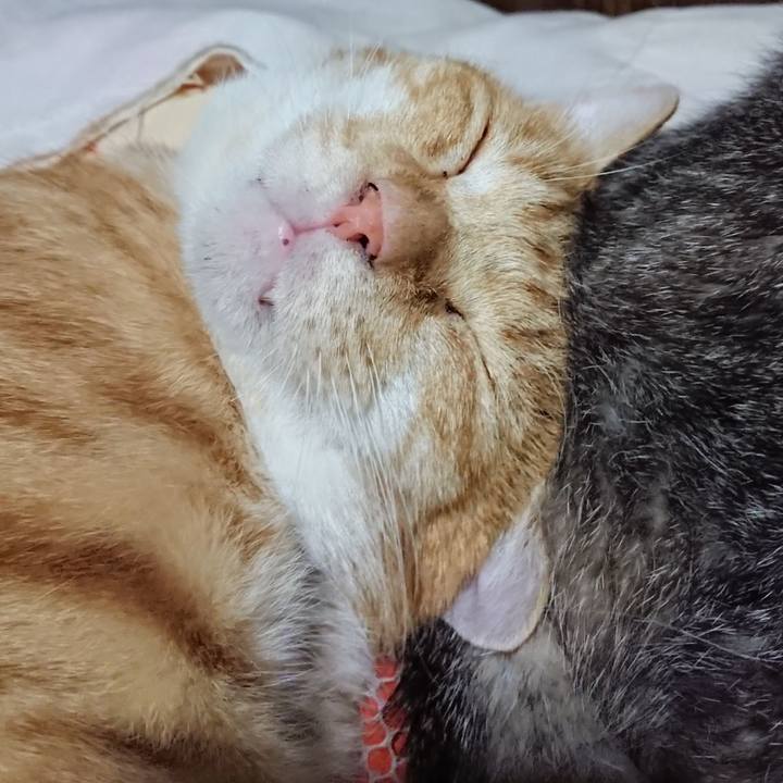 0fe9d0f8 d2ba 4a85 841a c07fa0956dd5 1568985220326