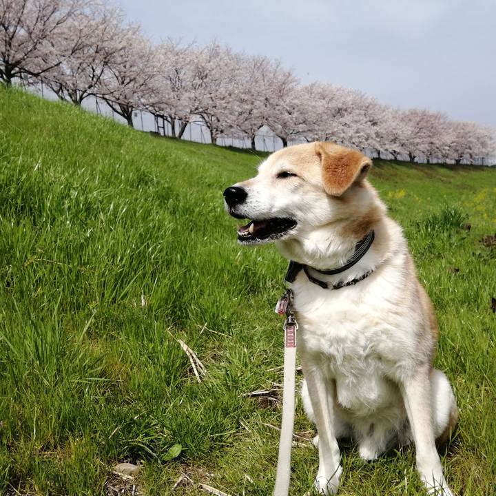 0fe9dd4c 1031 4f44 b639 083e62aea469 1617069505771