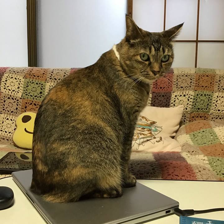 0fe9e195 2ac5 465f a34a 48bcb8db7a4e 1756114450602