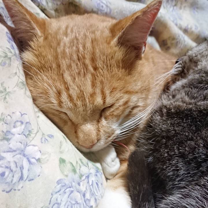 0fe9f9f7 4677 4c4b 9f8a 7aaa9d8b9732 1575893258886