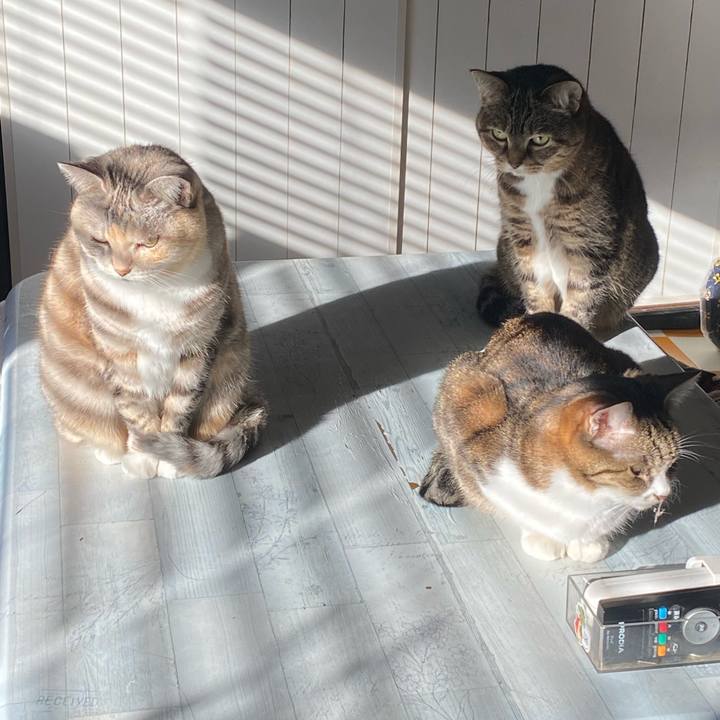 0fea281b 3a2b 49f8 8649 3f964807e688 1704501954804