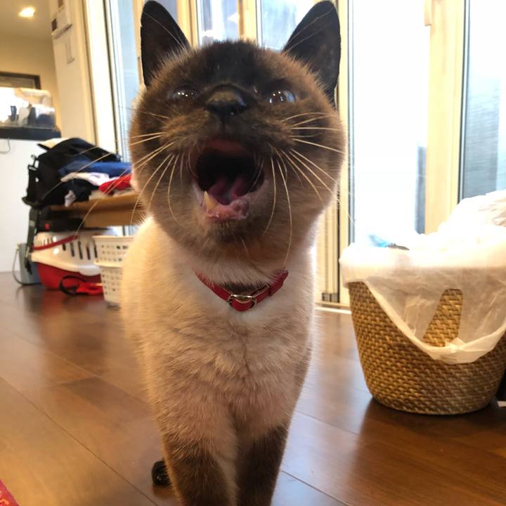 0fea2a0a 6ea6 4489 942d 4d4ccbcbb0ca 1529665205480