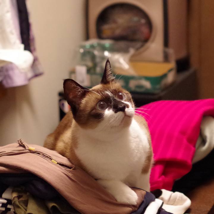 0fea4a85 9bc2 4178 90ba 7923f6f1a922 1555250251976