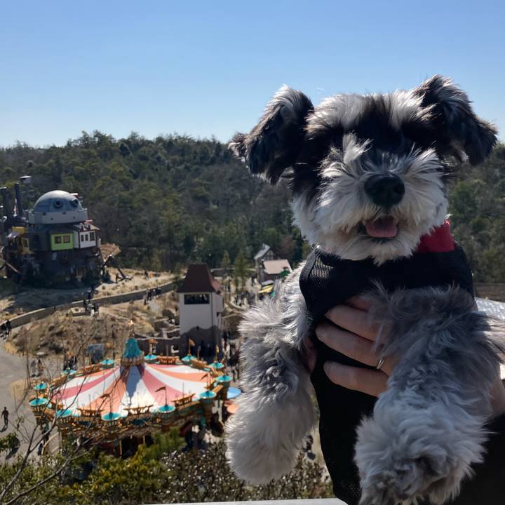 0fea6195 4f00 4425 ad57 d896dfa34e20 1740800983046