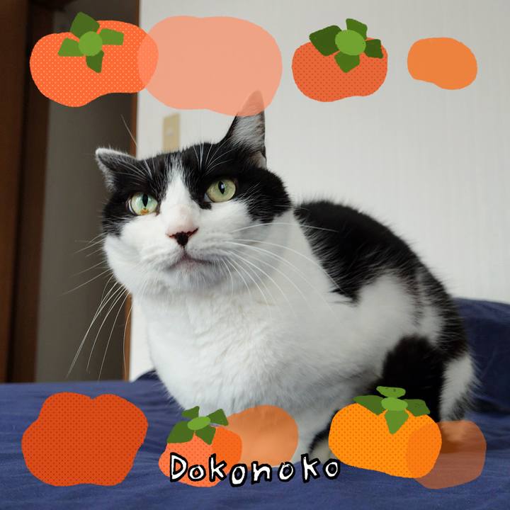 0fea6469 cc7a 480a 99ee 99ba3bb5d5e5 1761103521138