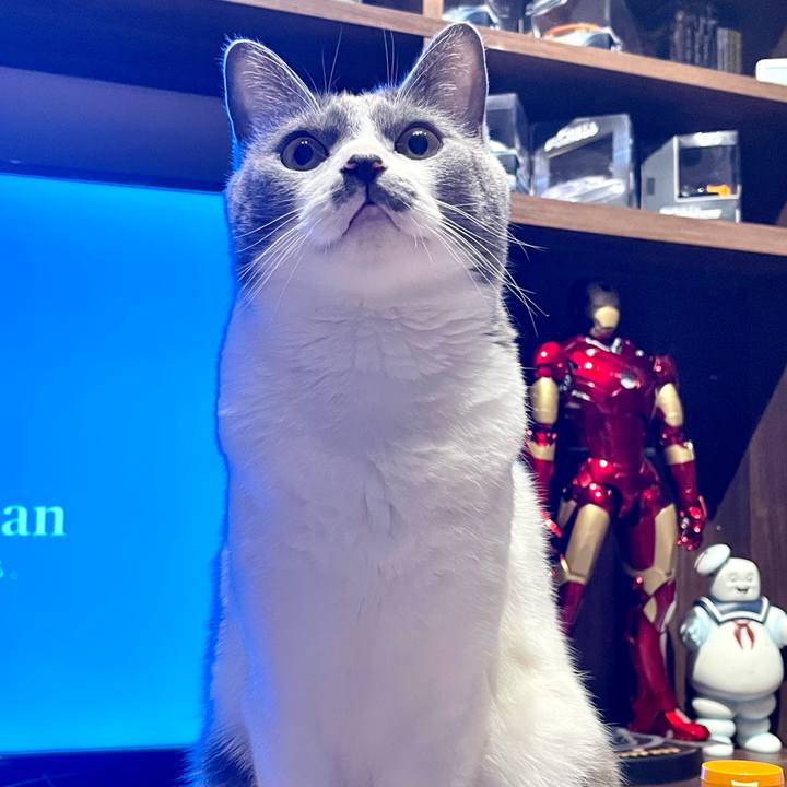 0fea6541 1dfc 4f45 945a ec1172c9a6d1 1658841714496