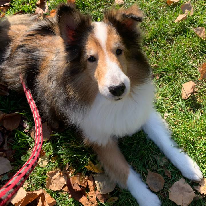 0fea8244 2065 4e78 ae4c 7a6667fbd299 1571645798244