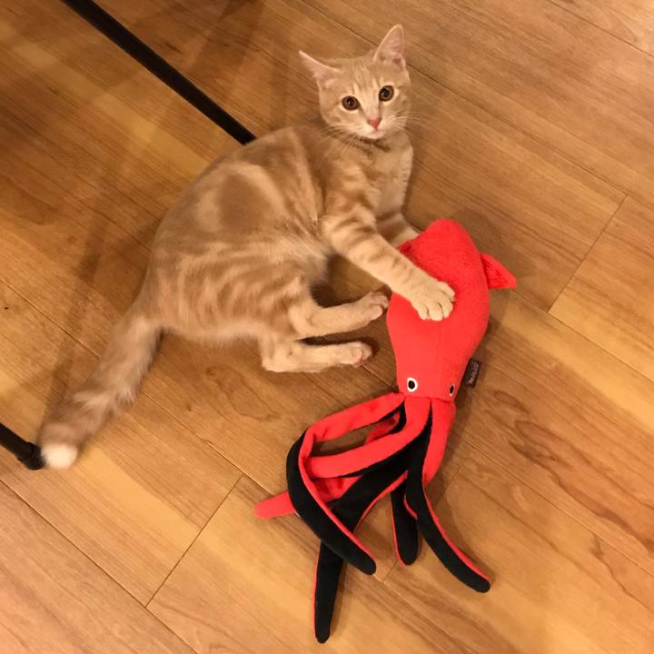 0fea83fc 0081 4e62 9f06 1c2cba09f45a 1552054680947