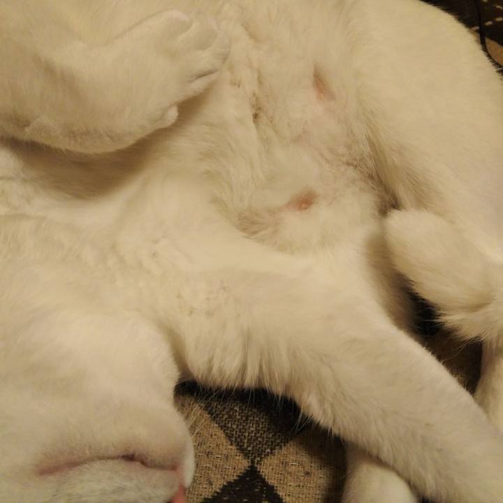 0feaae76 59ad 4931 95c2 fb8f911adcb6 1554981835197