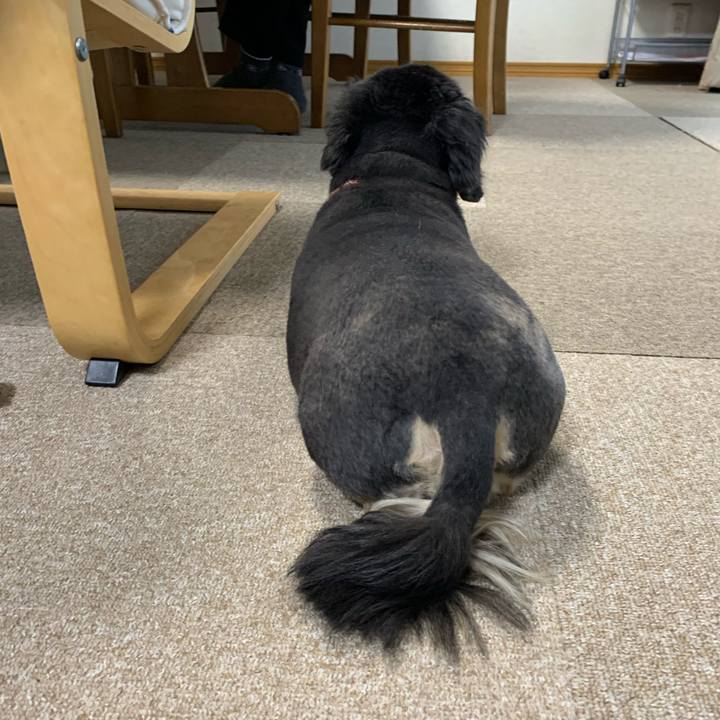 0feaf542 4f17 4644 b7e4 a3ff9e0b6bac 1584829247529