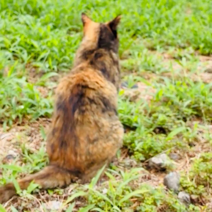 0feaf8de 0aa1 46cf a9f9 b97cc2444ddb 1754622661750